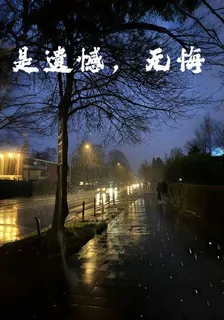 遺憾，但無悔 封面