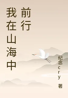 我在山海中前行 封面