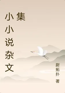 小小說雜文集 封面