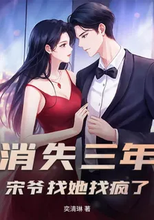 消失三年，宋爺找她找瘋了 封面
