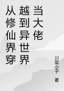 從修仙界穿越到異世界當大佬 封面
