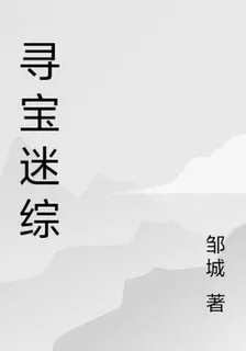 尋寶迷綜 封面