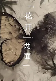 花開兩面 封面