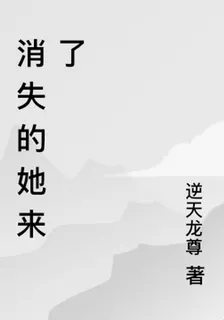 消失的她來了 封面