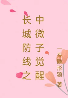 長城防線之中微子覺醒 封面