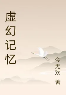 虛幻記憶 封面