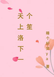 天上洛下一個笙 封面