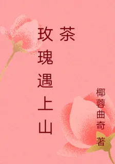 玫瑰遇上山茶 封面