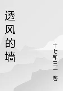 透風的牆 封面