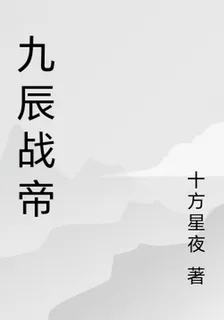 九辰戰帝 封面