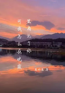 可我怎麼在晚霞裏看見了你 封面