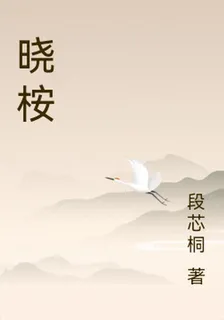 曉桉 封面
