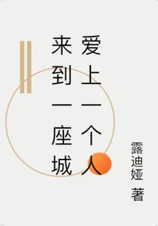 來到一座城愛上一個人 封面