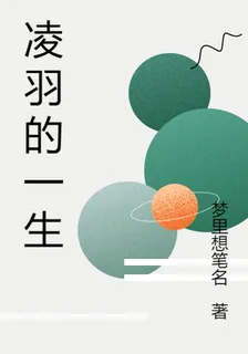凌羽的一生 封面