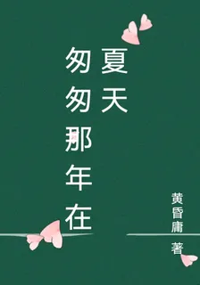 匆匆那年在夏天 封面