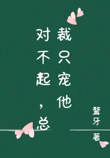 對不起，總裁只寵他 封面