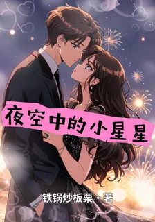 夜空中的小星星 封面