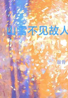 山雪不見故人 封面