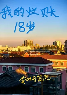 我的爛賬18歲 封面