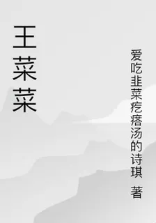 王菜菜 封面