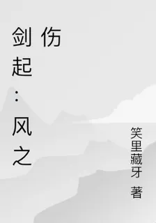 劍起：風之傷 封面