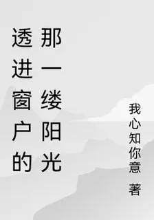 透進窗戶的那一縷陽光 封面