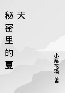 祕密裏的夏天 封面