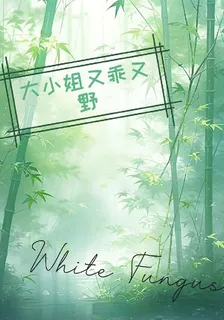 大小姐又乖又野 封面