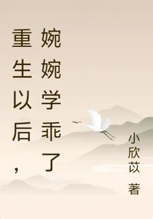 重生以後，婉婉學乖了 封面