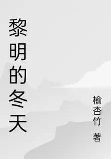 黎明的冬天 封面