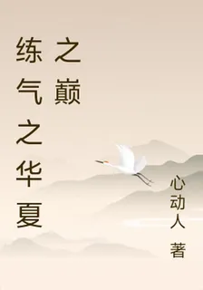 練氣之華夏之巔 封面