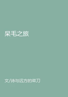 呆毛之旅 封面