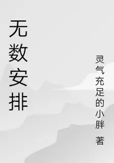 無數安排 封面