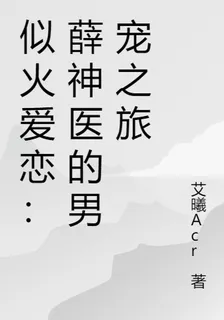 似火愛戀：薛神醫的男寵之旅 封面
