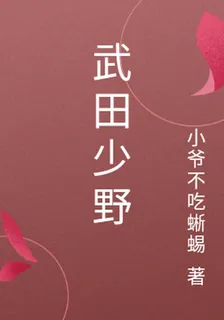 武田少野 封面