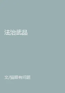 法治武品 封面