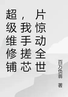 超級維修鋪，我手搓芯片驚動全世 封面