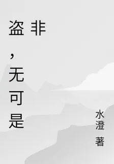 盜，無可是非 封面