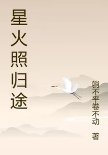 星火照歸途 封面