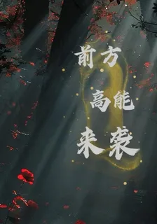 前方高能來襲 封面