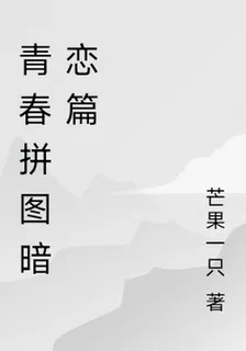 青春拼圖暗戀篇 封面