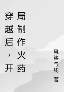 穿越後，開局製作火藥 封面