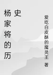 楊家將的歷史 封面