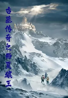 古墓傳奇之西夏狼王 封面