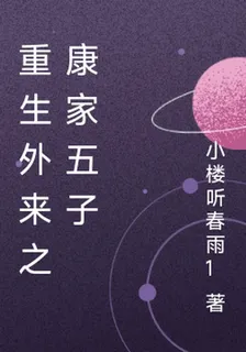 重生外來之康家五子 封面