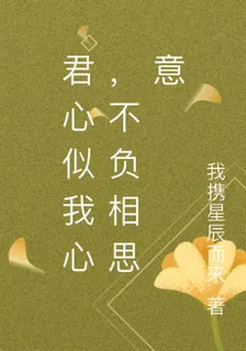 君心似我心，不負相思意 封面