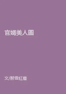 官婿美人圖 封面