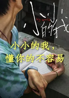 小小的我改編 封面