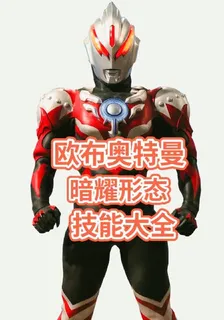 暗耀之光 封面