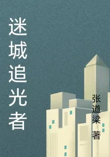 迷城追光者 封面